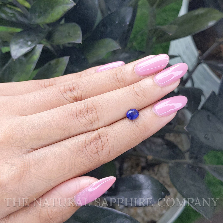 1.01 Ct. Blue Sapphire from Ceylon (Sri Lanka)