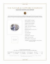 Jewelry Scan Report