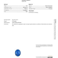 9.77 Ct. Blue Sapphire from Ceylon (Sri Lanka) Scan Report