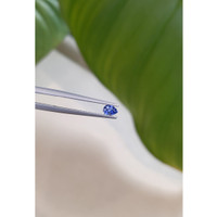 0.35 Ct. Blue Sapphire from Ceylon (Sri Lanka) Life Style