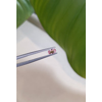 0.38 Ct. Pink Sapphire from Ceylon (Sri Lanka) Life Style