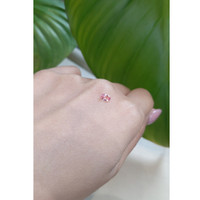 0.38 Ct. Pink Sapphire from Ceylon (Sri Lanka) Life Style