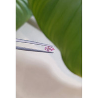 0.52 Ct. Pink Sapphire from Ceylon (Sri Lanka) Life Style