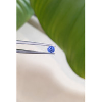 0.66 Ct. Blue Sapphire from Ceylon (Sri Lanka) Life Style