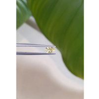 0.76 Ct. Yellow Sapphire from Ceylon (Sri Lanka) Life Style