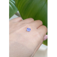 0.94 Ct. Blue Sapphire from Ceylon (Sri Lanka) Life Style