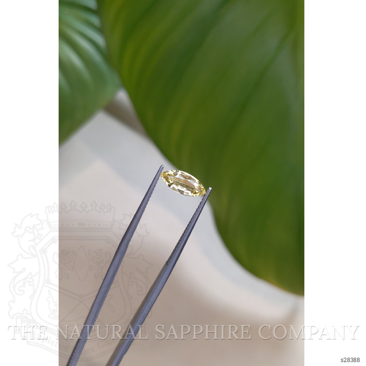 1.00 Ct. Yellow Sapphire from Ceylon (Sri Lanka)
