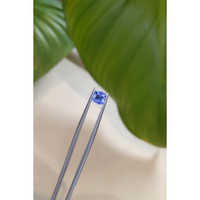 1.05 Ct. Blue Sapphire from Ceylon (Sri Lanka) Life Style