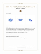 1.10 Ct. Blue Sapphire from Ceylon (Sri Lanka) Appraisal