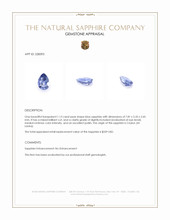 1.13 Ct. Blue Sapphire from Ceylon (Sri Lanka) Appraisal