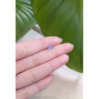 1.13 Ct. Blue Sapphire from Ceylon (Sri Lanka) Life Style