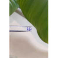 1.15 Ct. Bluish Purple Sapphire from Ceylon (Sri Lanka) Life Style