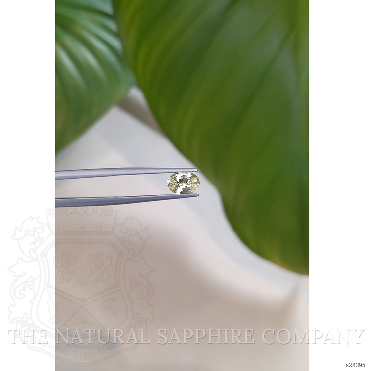 1.23 Ct. Yellow Sapphire from Ceylon (Sri Lanka)