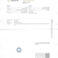 Jewelry Scan Report