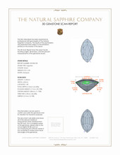 Jewelry 3 D Scan Report