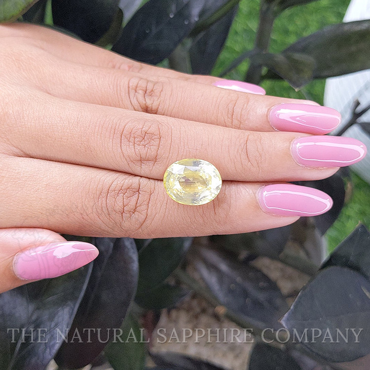 11.02 Ct. Yellow Sapphire from Ceylon (Sri Lanka)