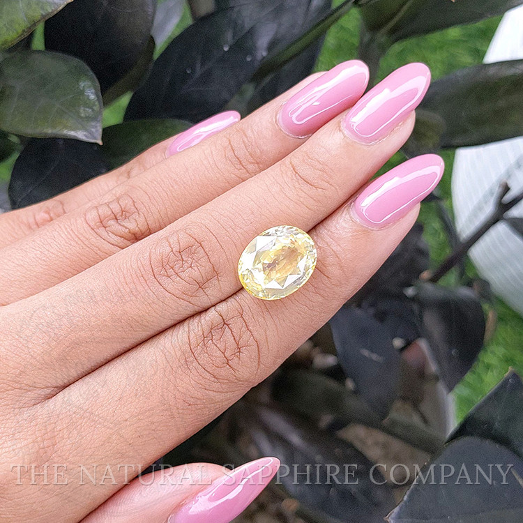 11.02 Ct. Yellow Sapphire from Ceylon (Sri Lanka)