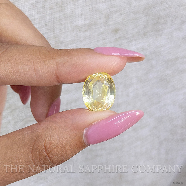 11.02 Ct. Yellow Sapphire from Ceylon (Sri Lanka)