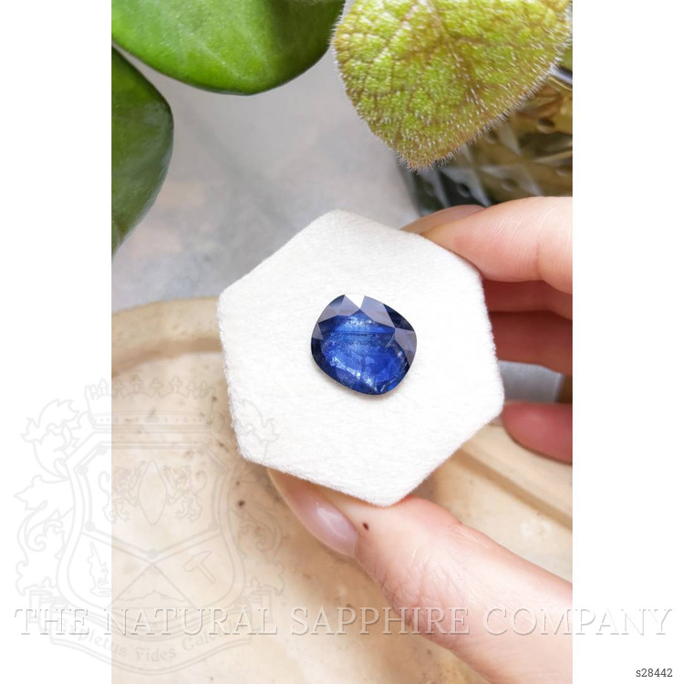 11.52 Ct. Blue Sapphire from Thailand