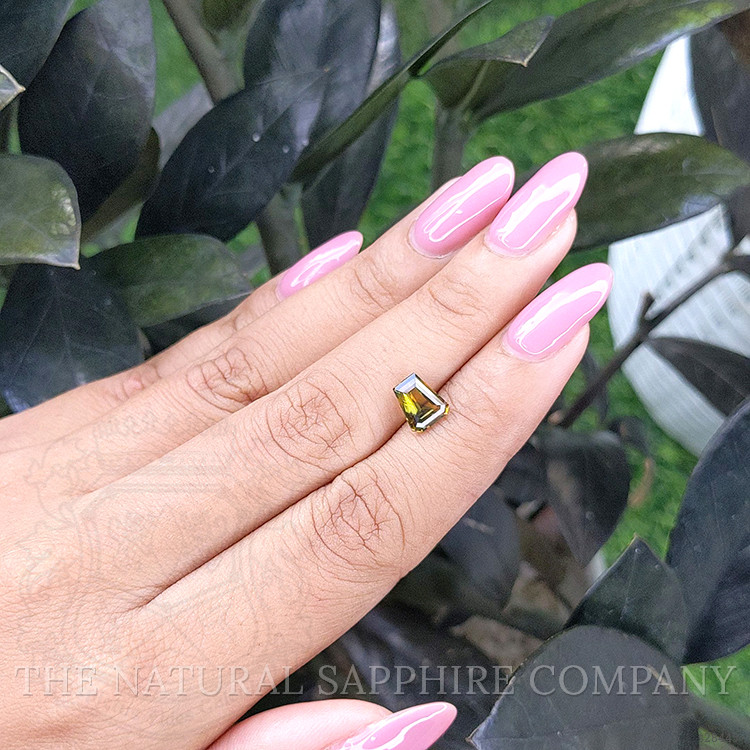 1.55 Ct. Bi Color Sapphire from Madagascar