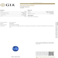 7.32 Ct. Blue Sapphire from Ceylon (Sri Lanka) Scan Report