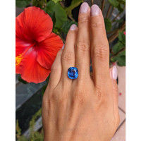 10.03 Ct. Blue Sapphire from Ceylon (Sri Lanka) Life Style