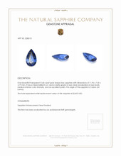 2.68 Ct. Blue Sapphire from Ceylon (Sri Lanka) Appraisal