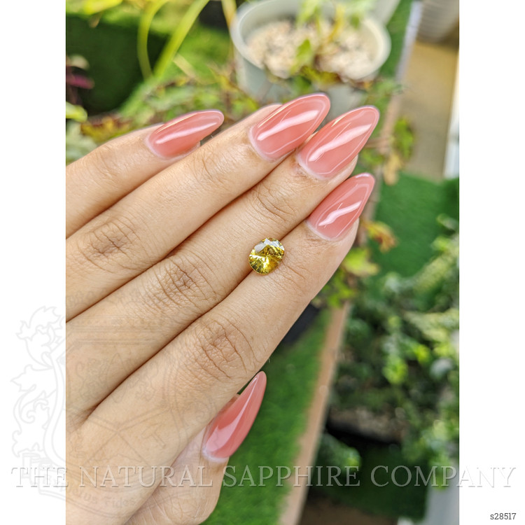 1.48 Ct. Yellow Sapphire from Ceylon (Sri Lanka)