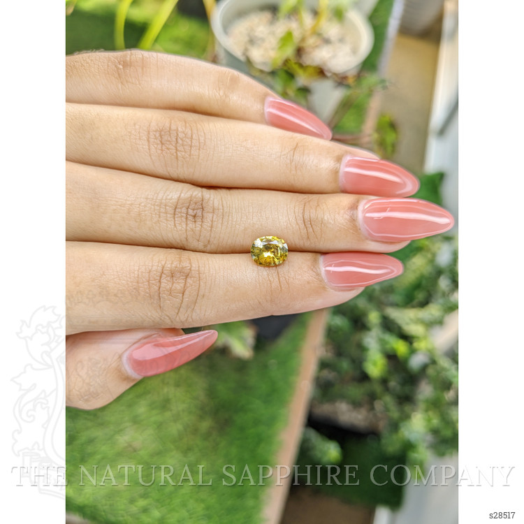 1.48 Ct. Yellow Sapphire from Ceylon (Sri Lanka)