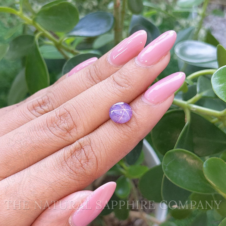 3.26 Ct. Purple Star Sapphire from Ceylon (Sri Lanka)