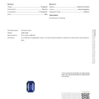 Jewelry Scan Report