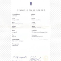 Jewelry Scan Report
