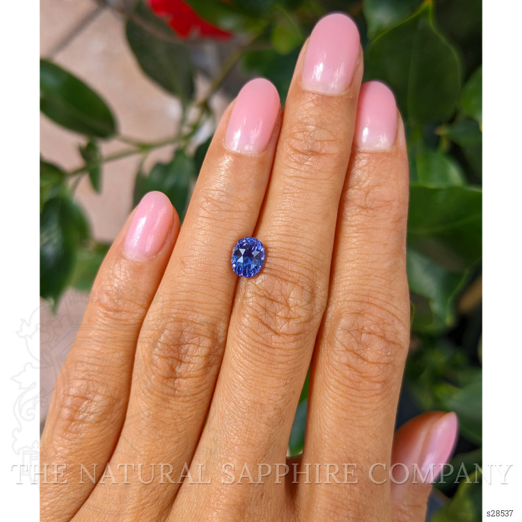1.64 Ct. Violet Sapphire from Ceylon (Sri Lanka)