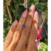 1.64 Ct. Violet Sapphire from Ceylon (Sri Lanka) Life Style