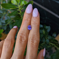 1.64 Ct. Violet Sapphire from Ceylon (Sri Lanka) Life Style
