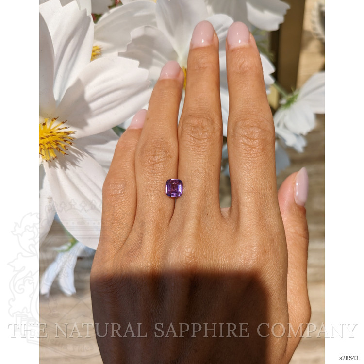1.55 Ct. Purple Sapphire from Ceylon (Sri Lanka)