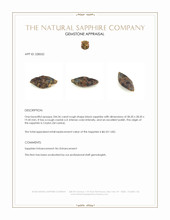 244.36 Ct. Black Rough Sapphire Crystal from Ceylon (Sri Lanka) Appraisal