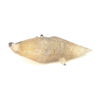 207.81 Ct. White Sapphire Crystal from Ceylon (Sri Lanka) Video