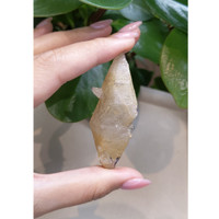 207.81 Ct. White Sapphire Crystal from Ceylon (Sri Lanka) Life Style