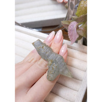 190.04 Ct. Grey Rough Sapphire from Ceylon (Sri Lanka) Life Style