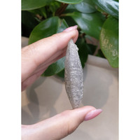 118.85 Ct. Grey Sapphire Crystal from Ceylon (Sri Lanka) Life Style