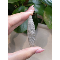 118.85 Ct. Grey Sapphire Crystal from Ceylon (Sri Lanka) Life Style