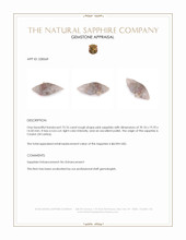 73.76 Ct. Pink Rough Sapphire from Ceylon (Sri Lanka) Appraisal