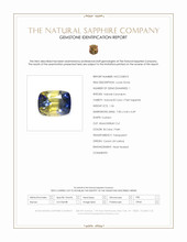 Jewelry Scan Report