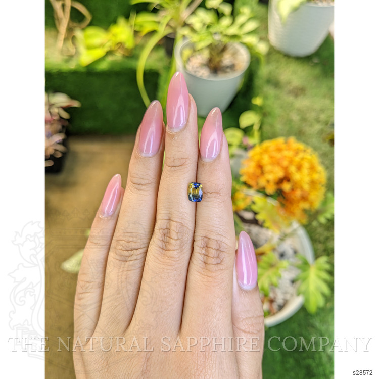 1.56 Ct. Bi Color / Parti Sapphire from Ceylon (Sri Lanka)