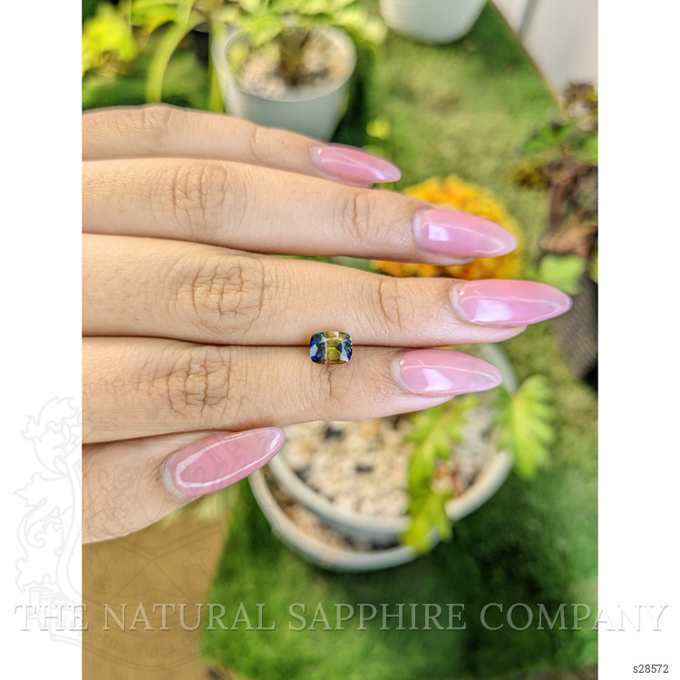 1.56 Ct. Bi Color / Parti Sapphire from Ceylon (Sri Lanka)