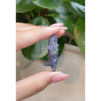 38.09 Ct. Blue Sapphire Crystal from Ceylon (Sri Lanka) Life Style