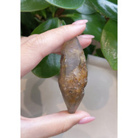 308.78 Ct. Yellowish Brown Rough Sapphire Crystal from Ceylon (Sri Lanka) Life Style