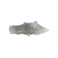 47.94 Ct. Blue Sapphire Crystal from Ceylon (Sri Lanka) Video