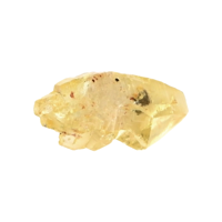 18.06 Ct. Yellow Sapphire Crystal from Ceylon (Sri Lanka) Video